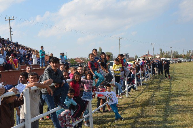 Mahmudiye’nin Safkanları Hipodroma Çıktı