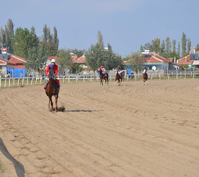 Mahmudiye’nin Safkanları Hipodroma Çıktı