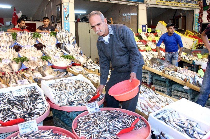 Gastronomi Kenti Gaziantep’te Balık, Kebabın Gölgesinde Kaldı