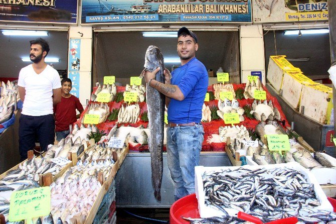 Gastronomi Kenti Gaziantep’te Balık, Kebabın Gölgesinde Kaldı