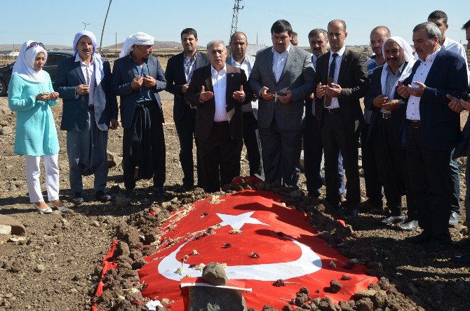 Kürtçe Ağıt Yakan Şehit Annesinden Teröre Tepki