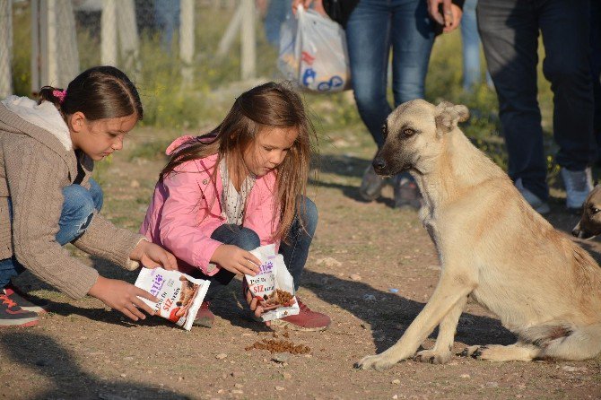 Bu Sefer Hayvanlar İçin Kontak Açtılar