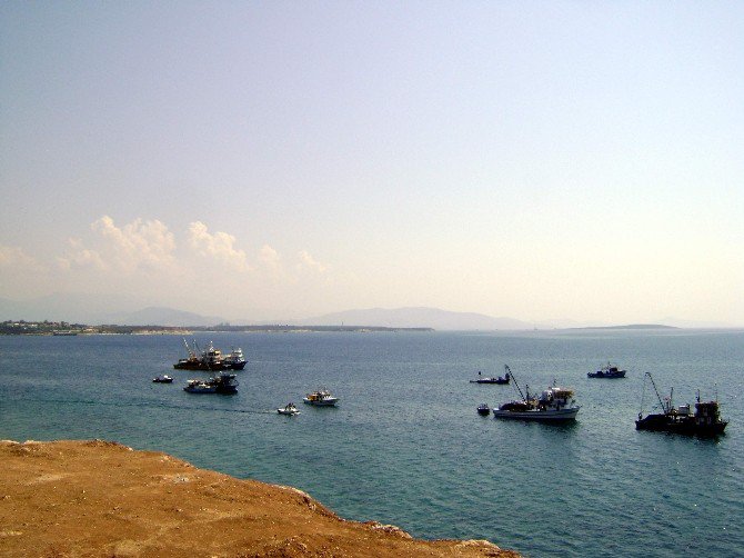 Didim’de Balık Av Mevsimi Sürüyor