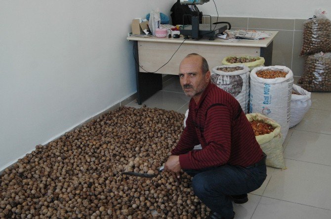 Adilcevaz’da Yeni Mahsul Ceviz Satışları Başladı