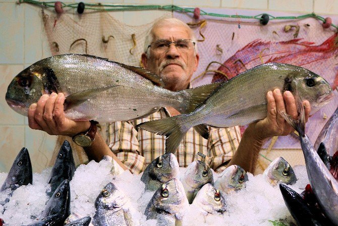 Denizlerde Çipura Sezonu Başlıyor