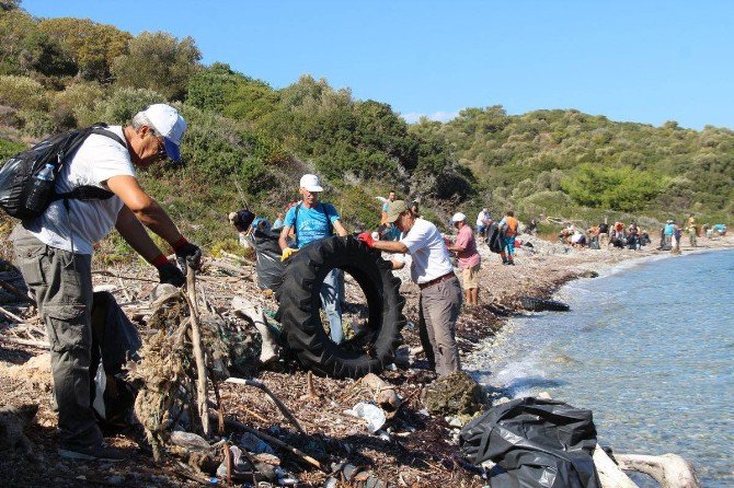 Milli Park Sahillerinden Ne Ararsan Çıktı