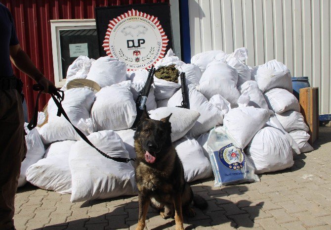 Diyarbakır Polisi Uyuşturucu Tacirlerine Darbe Vurdu