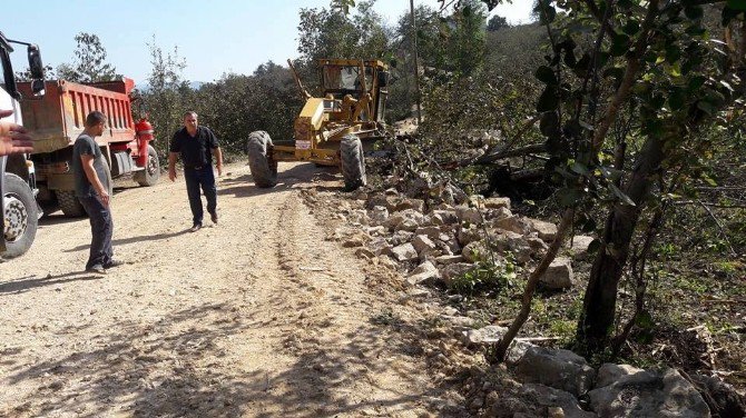 Fatsa’da 40 Yıllık Yol Sorunu Çözüldü