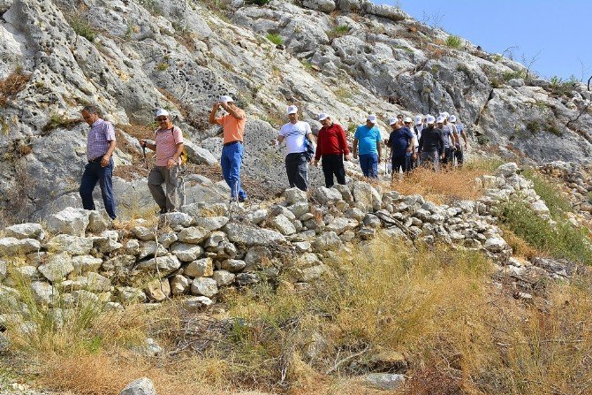 Matso, Tarihi Kervayolu İçin Start Verdi
