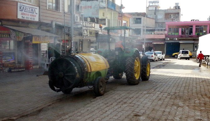 Kara Sinek İstilasında İlaçlı Mücadele De Çare Olmuyor