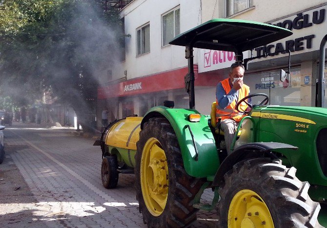 Kara Sinek İstilasında İlaçlı Mücadele De Çare Olmuyor