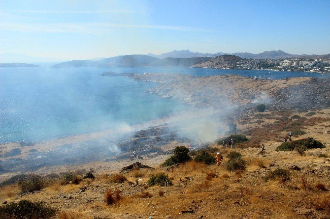 Tarihi Değirmen Tepesi Alevlere Yenik Düştü