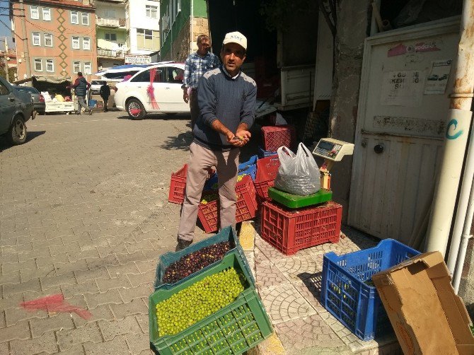 Hisarcık’ta Salamura Zeytin Yapımı