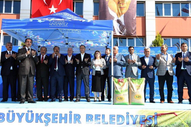 Türkiye’nin Hububat Deposu Gazinatep’te Çiftçiye Tohum Desteği