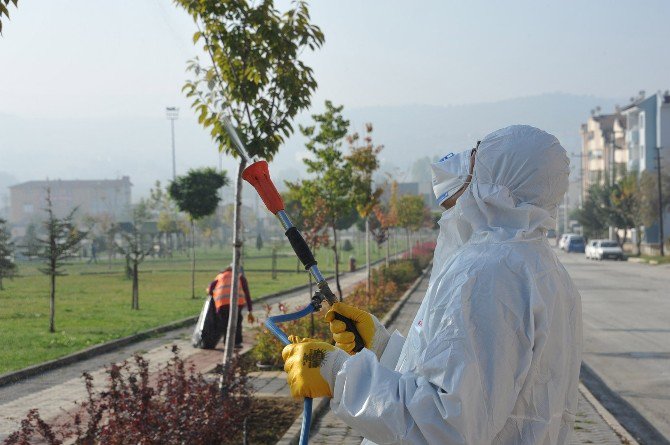 Bozüyük’te Parklarda İlaçlama
