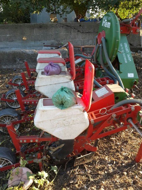 Çalıştığı Bağ Evinde Esrar Üretirken Yakalandı