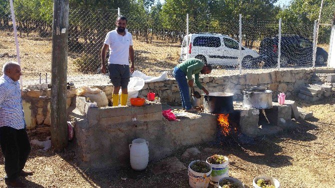 Kulp’ta Bağ Bozumu Başladı