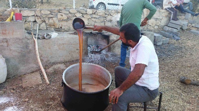 Kulp’ta Bağ Bozumu Başladı