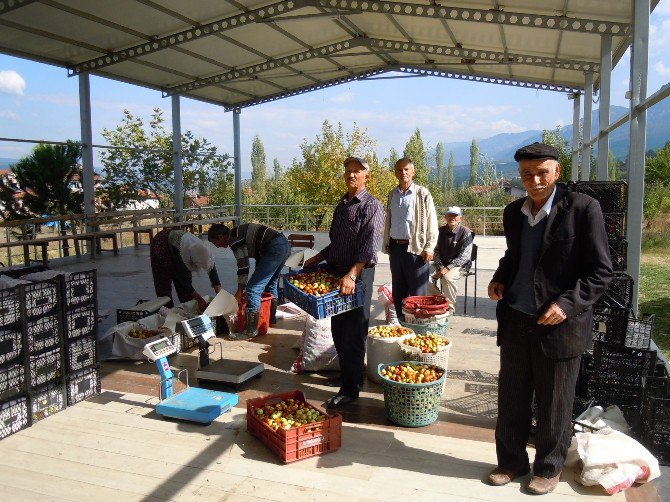 Hünnap Pazardaki Yerini Aldı