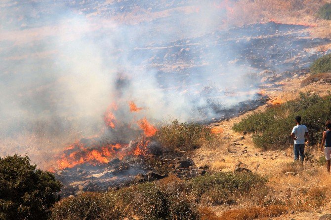 Tarihi Değirmen Tepesi Alevlere Yenik Düştü