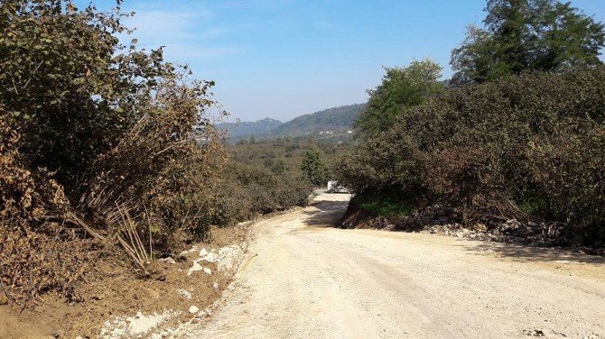 Fatsa’da 40 Yıllık Yol Sorunu Çözüldü