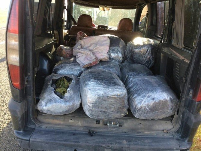 106 Kilo Esrar Ele Geçirildi