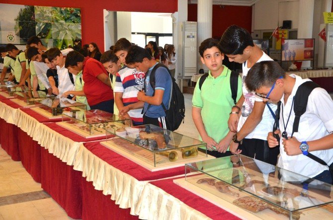 Çanakkale 1915 Gezici Müzesi Sarıgöl’e Ziyarete Açıldı