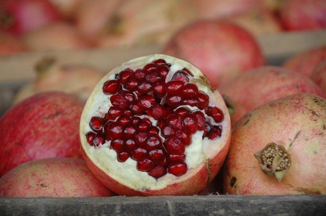 Siirt’ Zivzik Narı Hasadı Başladı