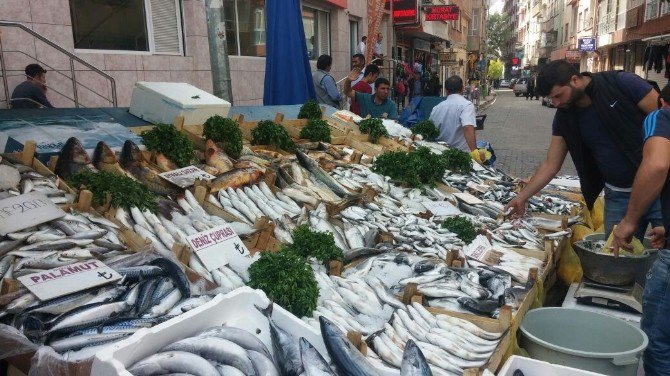 Kırmızı Et Fiyatları Artınca Balık Çeşitlerine Rağbet