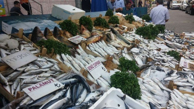 Kırmızı Et Fiyatları Artınca Balık Çeşitlerine Rağbet