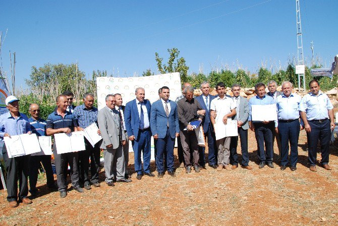 Silifke’de İyi Tarım Uygulamaları Sertifika Dağıtım Ve Tarla Günü Etkinliği