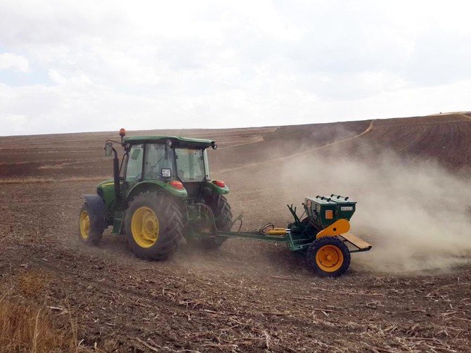 Sorgun’da Hububat Ekimi Başladı