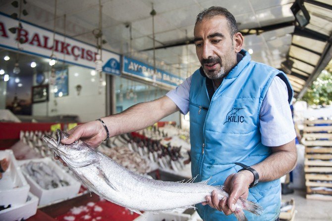Ankaralılar, 1 Ayda 607 Ton Palamut Tüketti