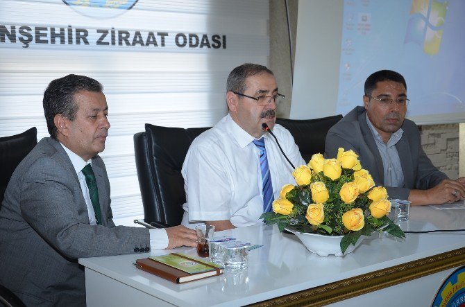 Mera Ve Hazine Alanlarının Ormana Dönüştürülmesi Çalışması