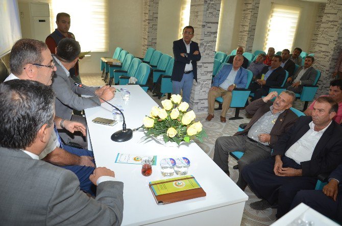 Mera Ve Hazine Alanlarının Ormana Dönüştürülmesi Çalışması