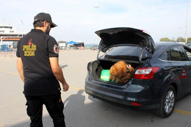 Yalova Emniyet Müdürlüğü Teyakkuzda