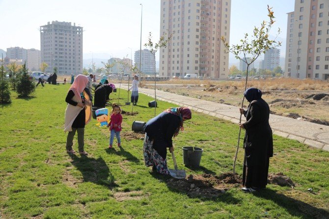 Mustafa Kaan Kumlu Kur’an Kursu Öğrencileri Fidan Dikti