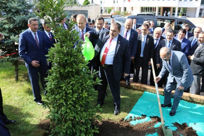 Bakan Veysel Eroğlu ’Yeşil Yolu’ Değerlendirdi