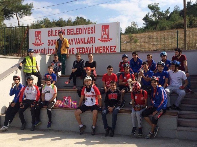 Yaşam Tur’un Son Adresi Sokak Hayvanları Tedavi Ve Rehabilitasyon Merkezi Oldu