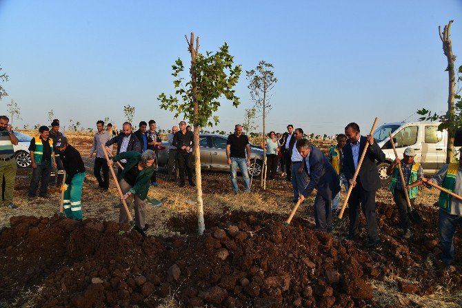 Eş Başkanlar Ankara Katliamında Hayatını Kaybedenler İçin Fidan Dikti