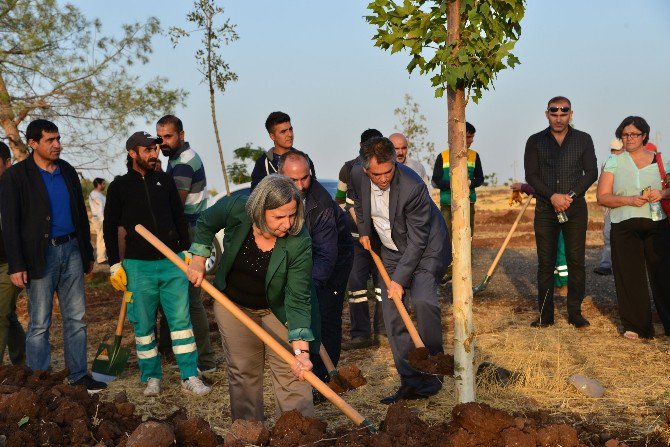 Eş Başkanlar Ankara Katliamında Hayatını Kaybedenler İçin Fidan Dikti