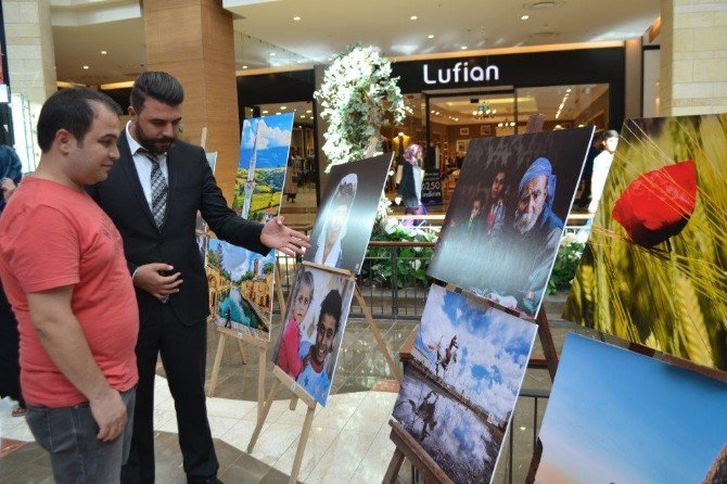 Göbeklitepe Fotoğraf Sanatı Derneğinin Karma Fotoğraf Sergisi Piazza’da Açıldı