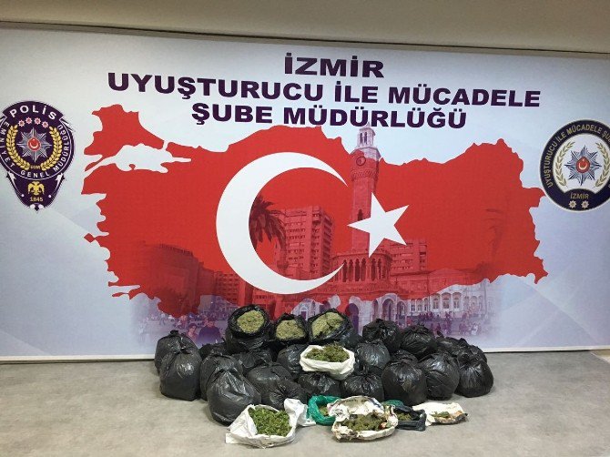 İzmir’de 70 Kilo Bonzai Ele Geçirildi