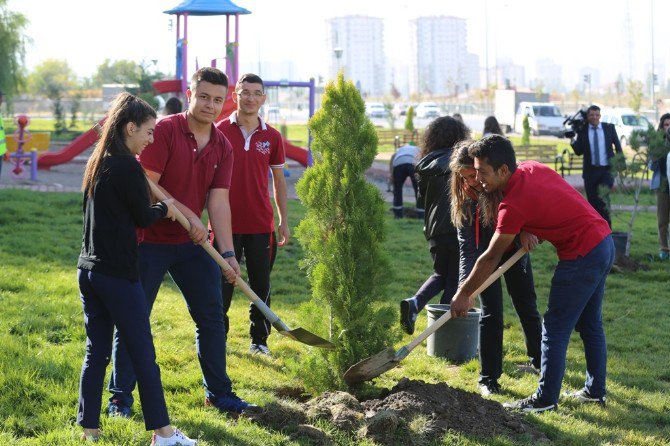 Konaklar Mahallesinde 500 Çam Fidanı Dikildi