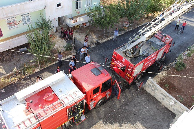 Odunlukta Çıkan Yangın Paniğe Neden Oldu