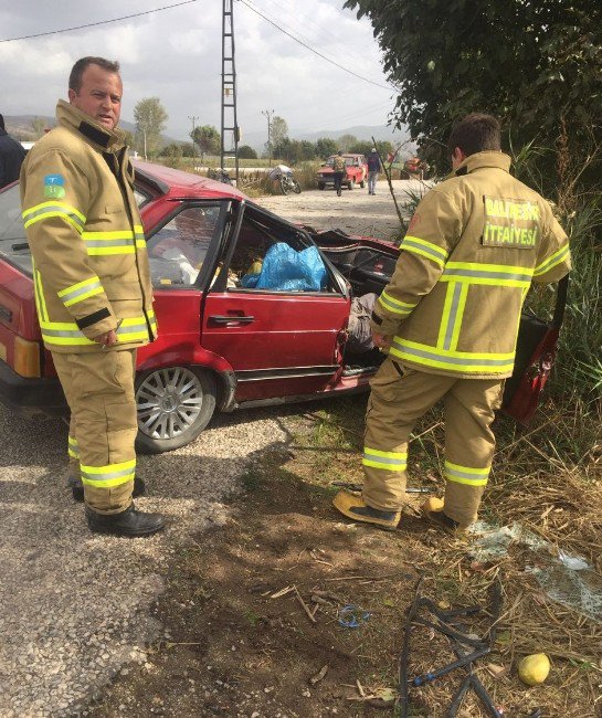 Seyir Halindeki Aracın Üzerine Ağaç Düştü: 1 Ölü, 1 Yaralı