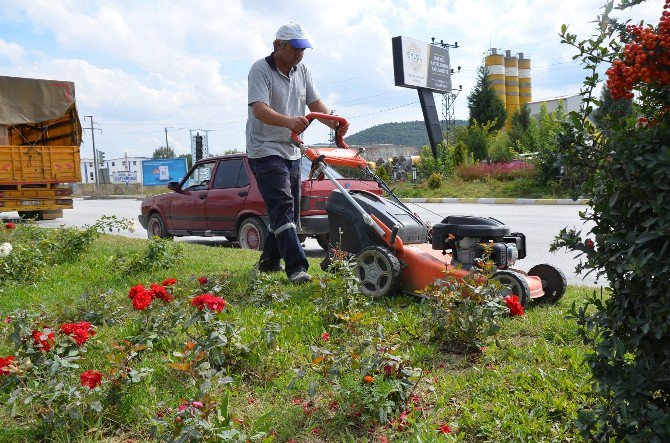 Bozüyük’teki Parklarda Sonbahar Güzelliği