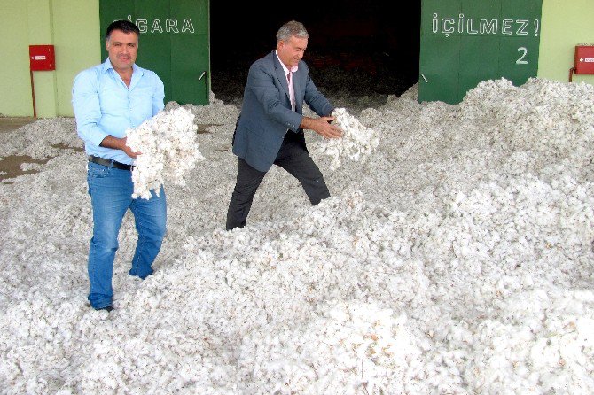 Çukobirlik Üreticilerin Yüzünü Güldürüyor