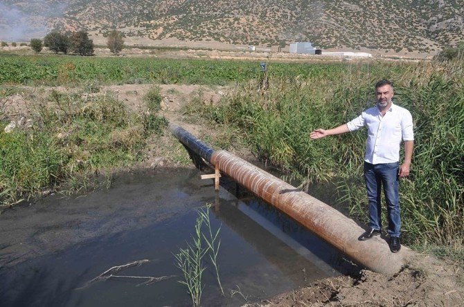 Alabalık Tesisinde Yaklaşık 1,5 Milyon Balık Telef Oldu