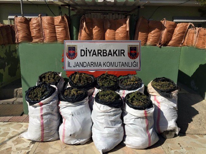 Diyarbakır’da Dere Yatağına Gizlenmiş Halde 164 Kilo Esrar Ele Geçirildi